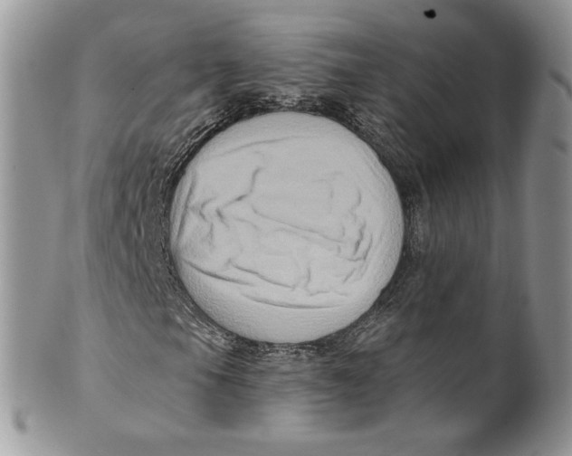 X0000099951105200806131441