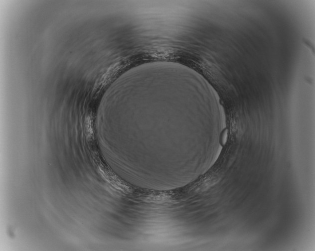 X0000099951106200806131441