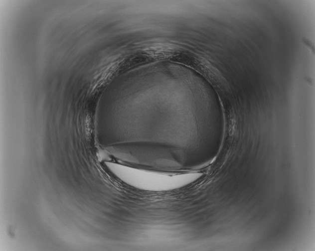 X0000099951108200806131441