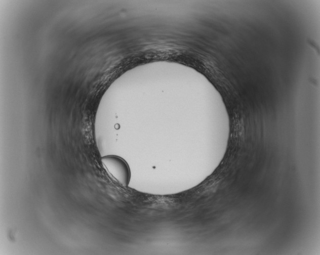 X0000099951109200806131441