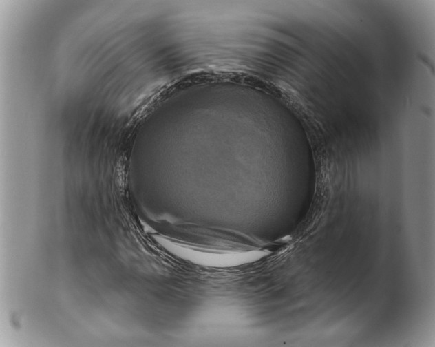 X0000099951110200806131441