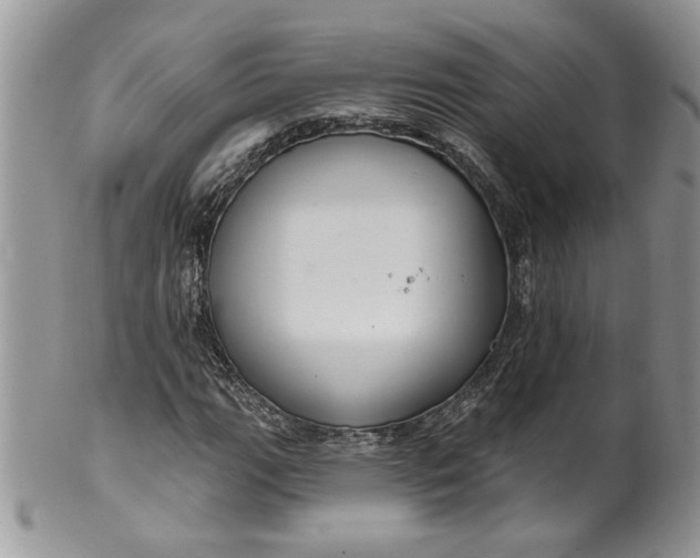 X0000099951111200806131441