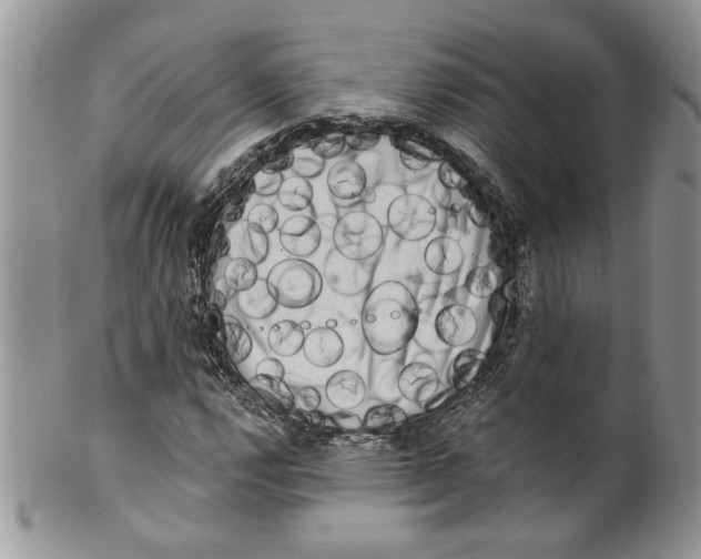 X0000099951112200806131441