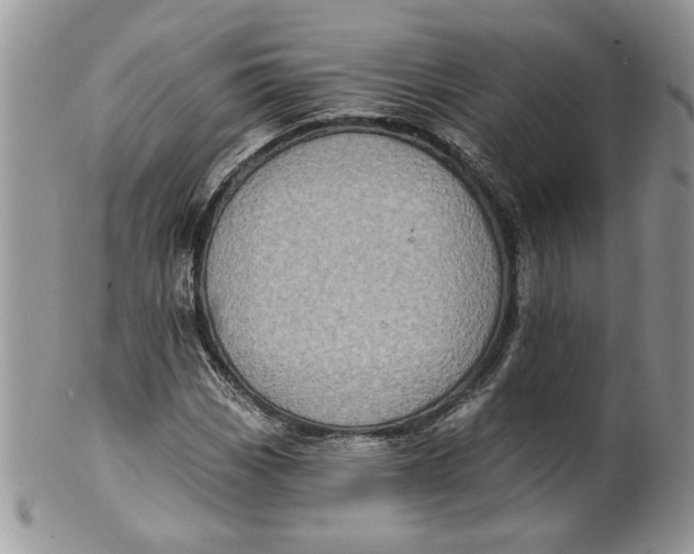 X0000099951113200806131441