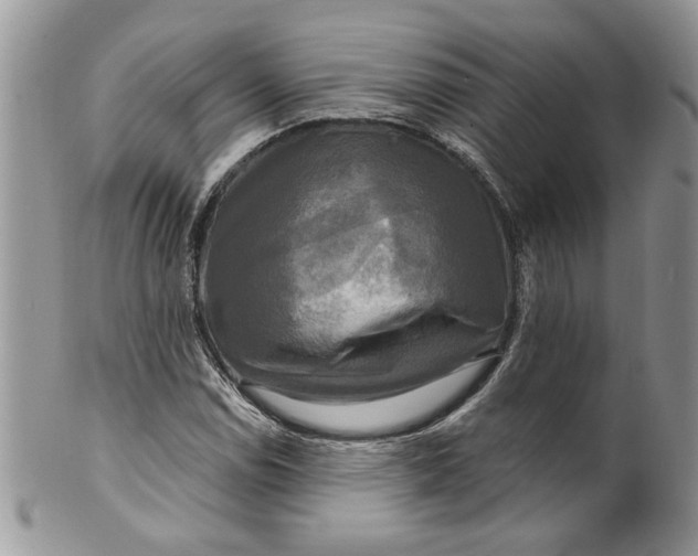 X0000099951114200806131441