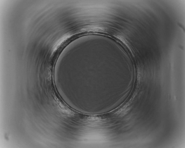 X0000099951115200806131441