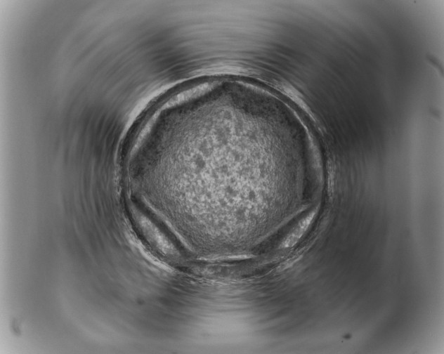 X0000099951116200806131441