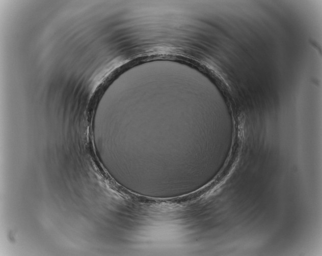 X0000099951117200806131441