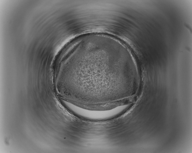 X0000099951118200806131441