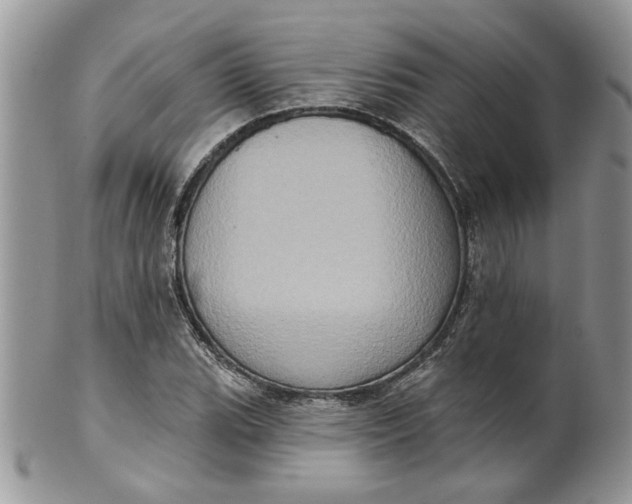 X0000099951119200806131441