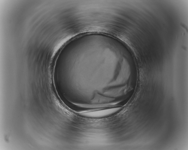 X0000099951120200806131441