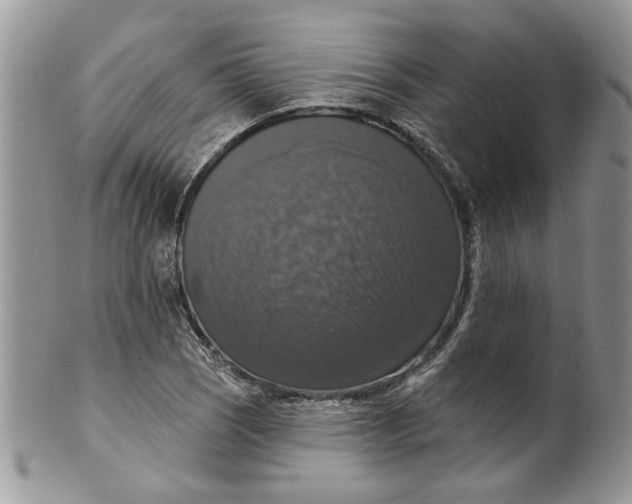 X0000099951121200806131441