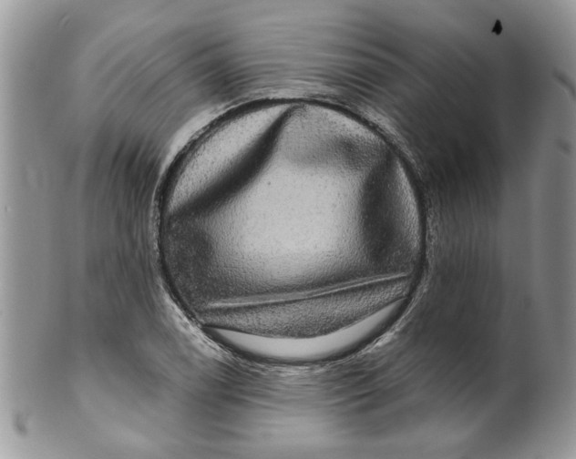 X0000099951122200806131441