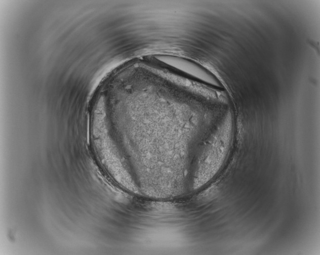 X0000099951123200806131441