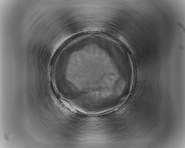 X0000099951124200806131441