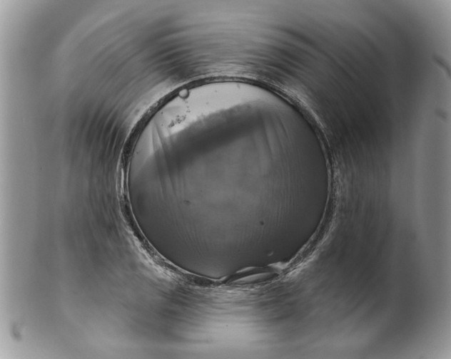 X0000099951125200806131441