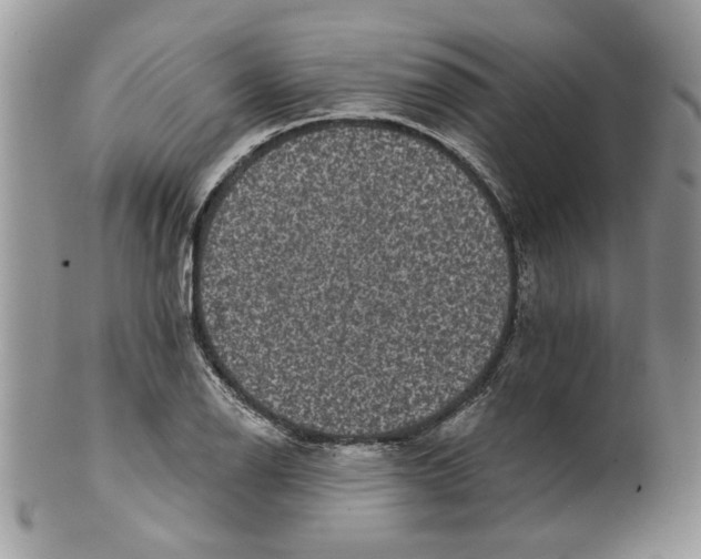 X0000099951126200806131441