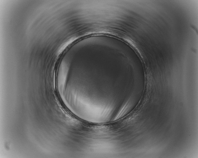 X0000099951127200806131441