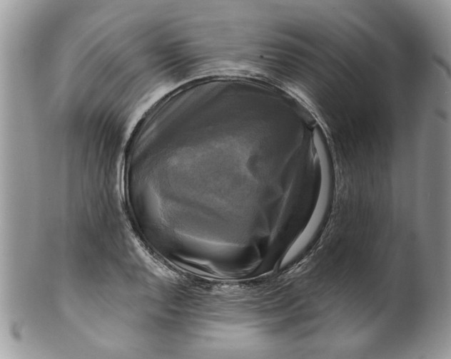 X0000099951128200806131441