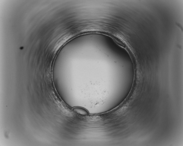 X0000099951129200806131441