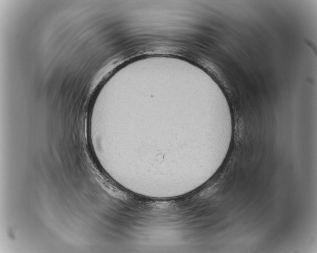 X0000099951130200806131441