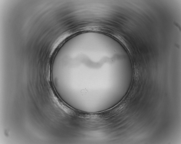 X0000099951131200806131441