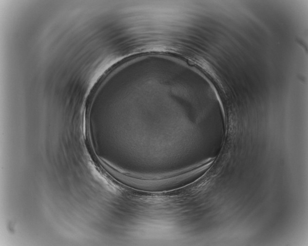 X0000099951132200806131441