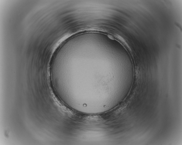 X0000099951133200806131441