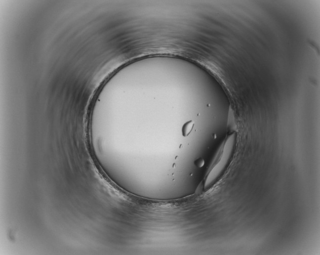 X0000099951135200806131441