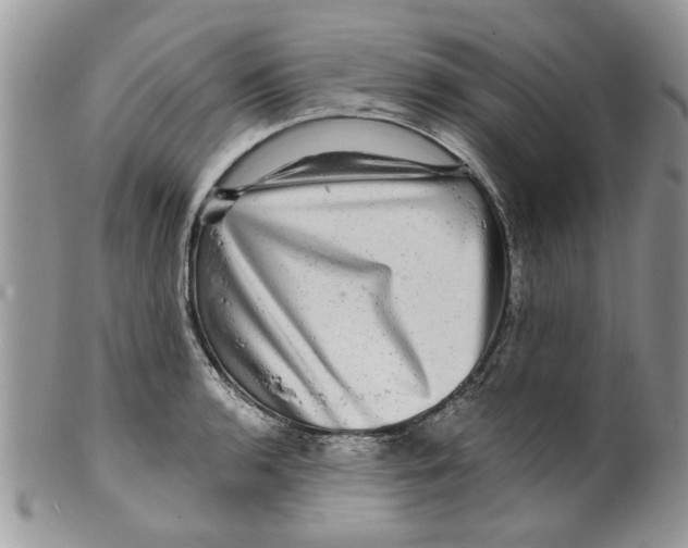 X0000099951136200806131441