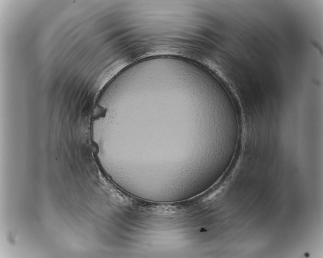 X0000099951137200806131442