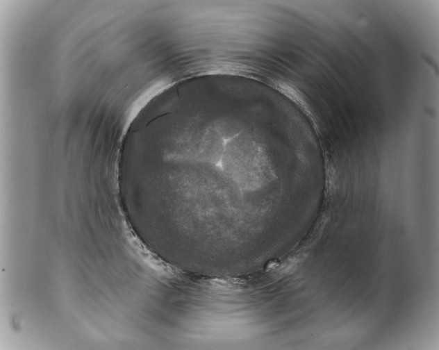 X0000099951138200806131442