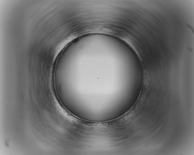 X0000099951139200806131442