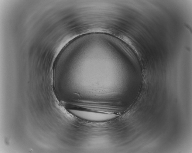 X0000099951140200806131442