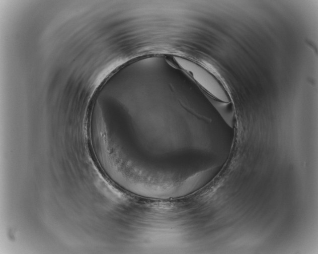 X0000099951141200806131442