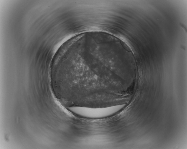 X0000099951142200806131442