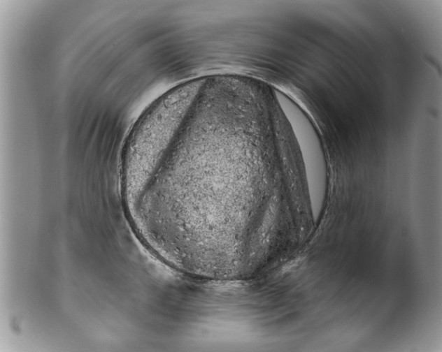 X0000099951143200806131442