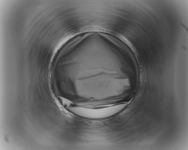 X0000099951144200806131442