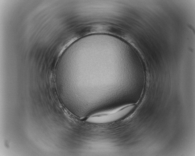 X0000099951145200806131442