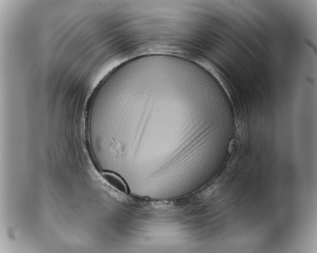 X0000099951147200806131442