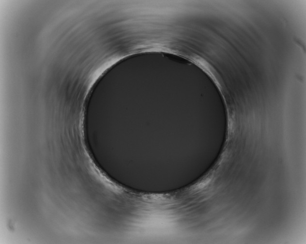 X0000099951149200806131442