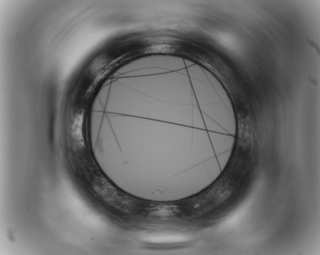 X0000099951150200806131442