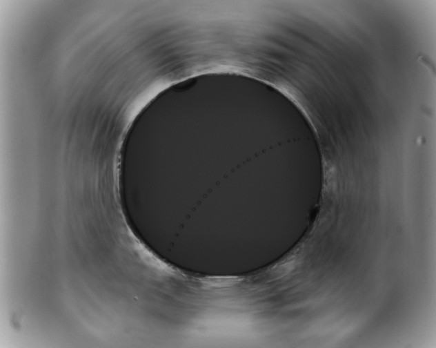 X0000099951151200806131442