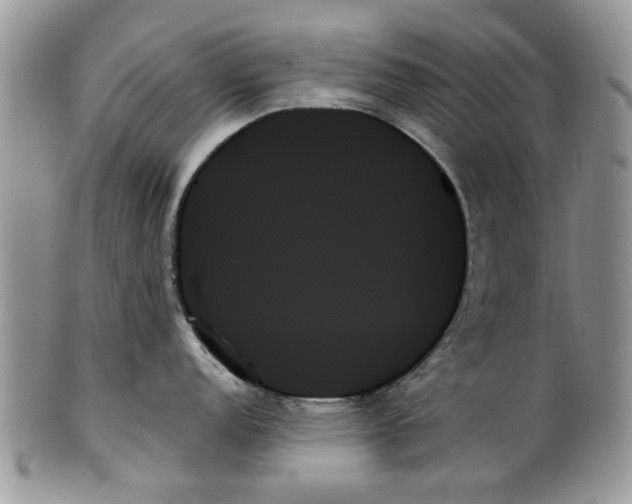 X0000099951152200806131442