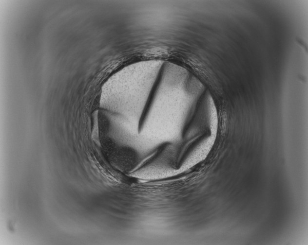 X0000099951153200806131441