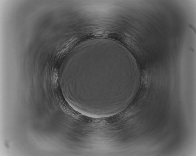 X0000099951154200806131441