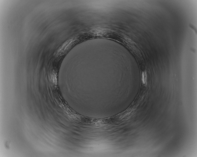 X0000099951155200806131441