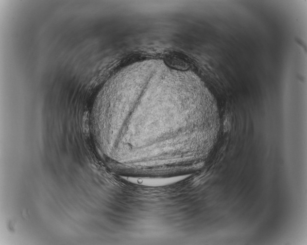 X0000099951156200806131441