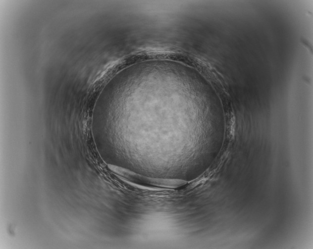 X0000099951157200806131441