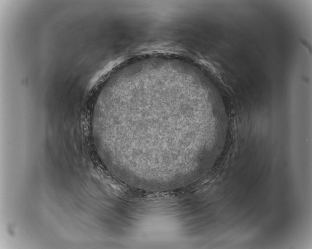 X0000099951159200806131441